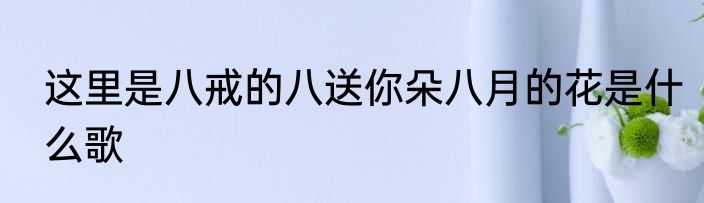 这里是八戒的八送你朵八月的花是什么歌