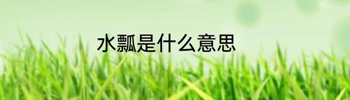 水瓢是什么意思