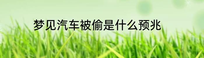 梦见汽车被偷是什么预兆