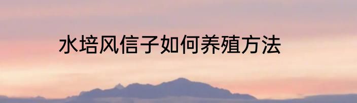 水培风信子如何养殖方法
