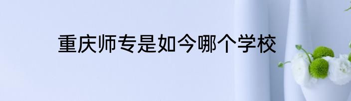 重庆师专是如今哪个学校