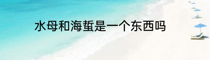 水母和海蜇是一个东西吗