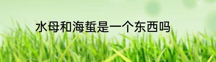 水母和海蜇是一个东西吗