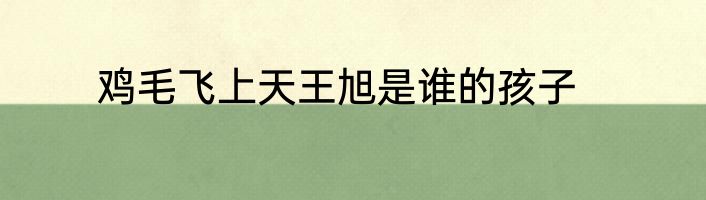 鸡毛飞上天王旭是谁的孩子