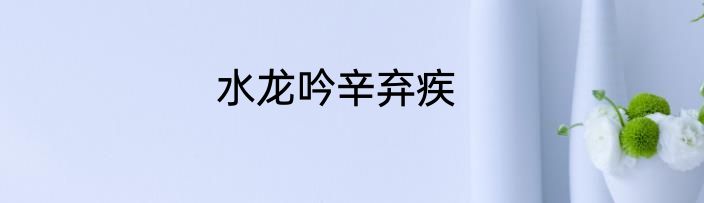 水龙吟辛弃疾