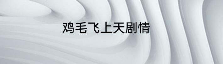 鸡毛飞上天剧情