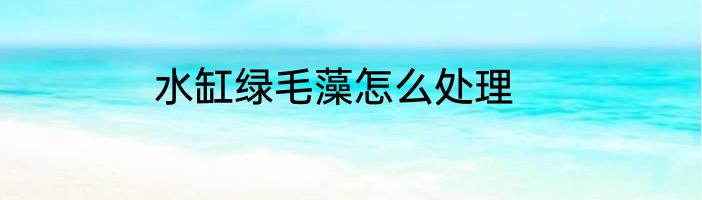 水缸绿毛藻怎么处理