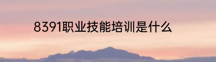 8391职业技能培训是什么