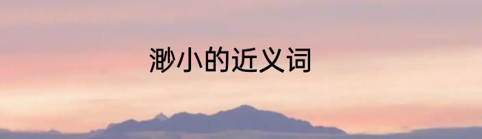渺小的近义词