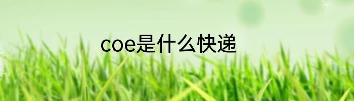 coe是什么快递