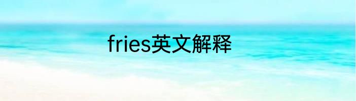 fries英文解释