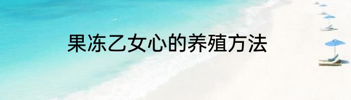 果冻乙女心的养殖方法