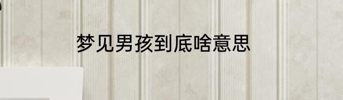 梦见男孩到底啥意思