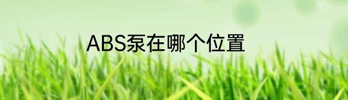 ABS泵在哪个位置