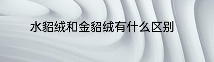水貂绒和金貂绒有什么区别