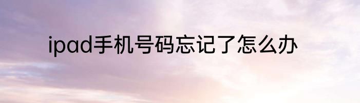 ipad手机号码忘记了怎么办