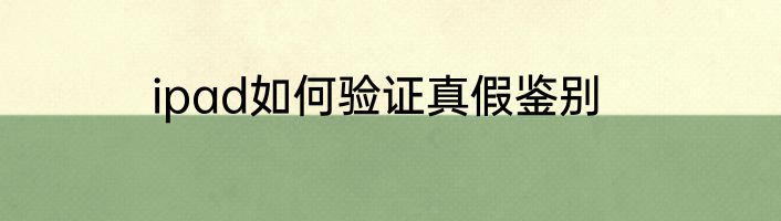 ipad如何验证真假鉴别