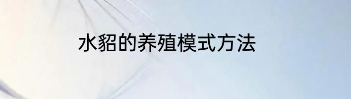 水貂的养殖模式方法