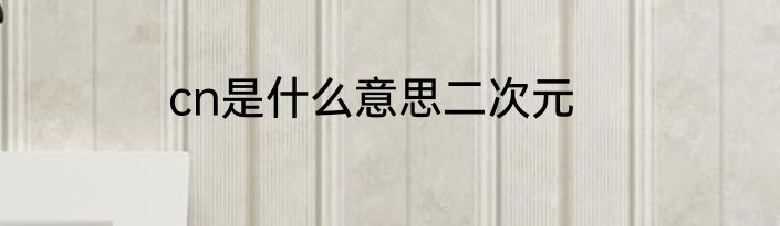cn是什么意思二次元