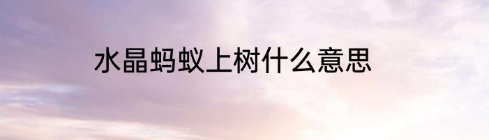 水晶蚂蚁上树什么意思