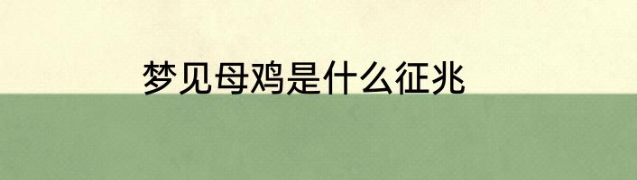 梦见母鸡是什么征兆