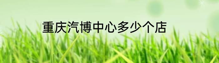 重庆汽博中心多少个店