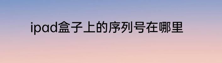 ipad盒子上的序列号在哪里