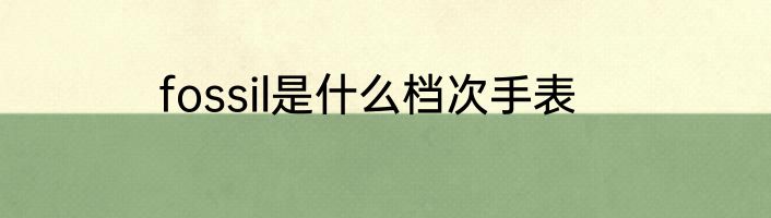 fossil是什么档次手表