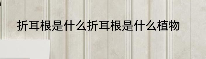折耳根是什么折耳根是什么植物