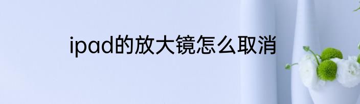 ipad的放大镜怎么取消