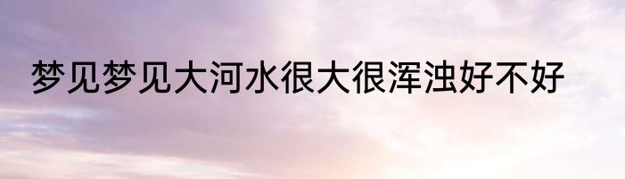 梦见梦见大河水很大很浑浊好不好