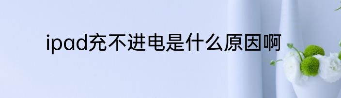 ipad充不进电是什么原因啊