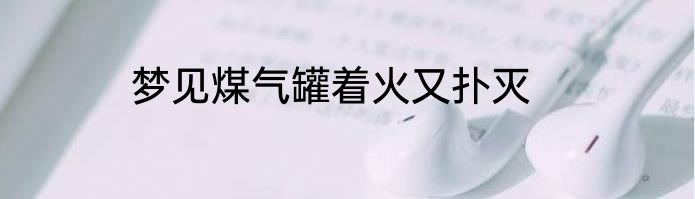 梦见煤气罐着火又扑灭