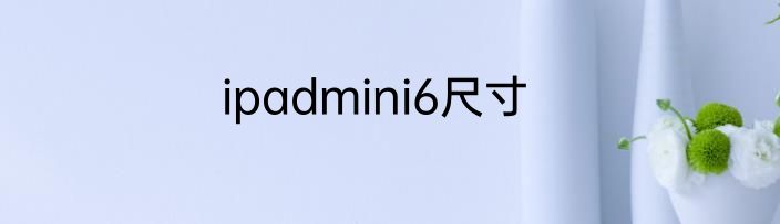ipadmini6尺寸