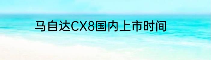 马自达CX8国内上市时间