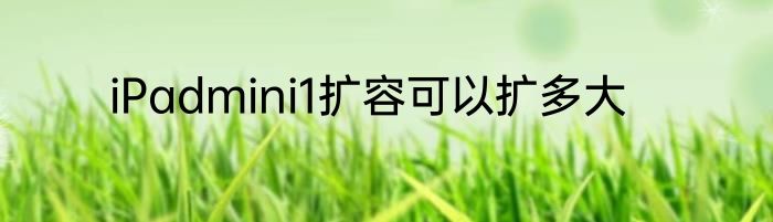 iPadmini1扩容可以扩多大