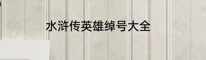 水浒传英雄绰号大全