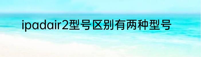 ipadair2型号区别有两种型号