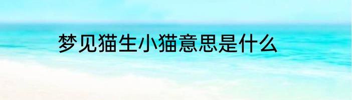 梦见猫生小猫意思是什么