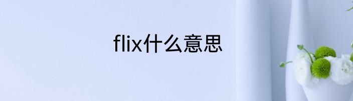 flix什么意思