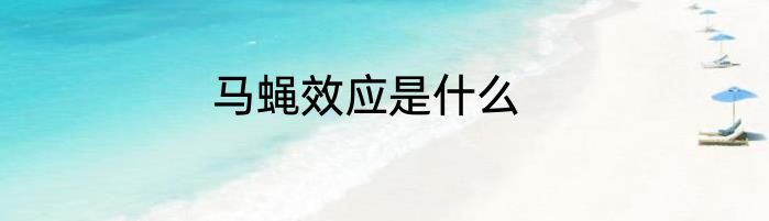 马蝇效应是什么