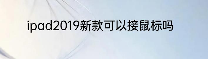 ipad2019新款可以接鼠标吗