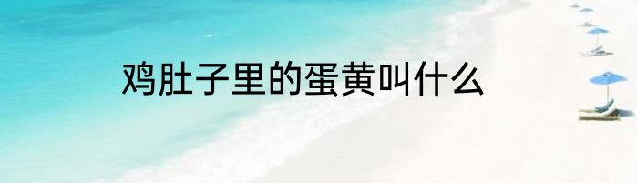 鸡肚子里的蛋黄叫什么