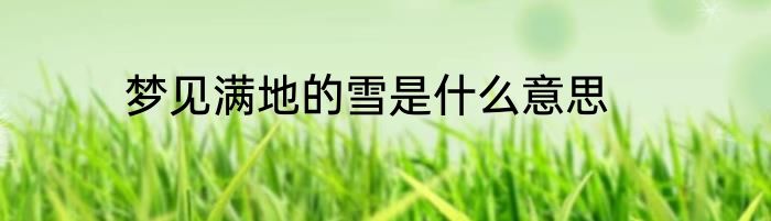梦见满地的雪是什么意思