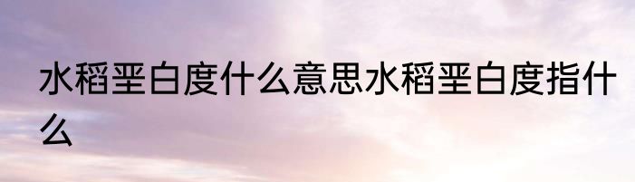 水稻垩白度什么意思水稻垩白度指什么