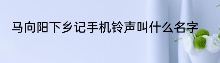 马向阳下乡记手机铃声叫什么名字