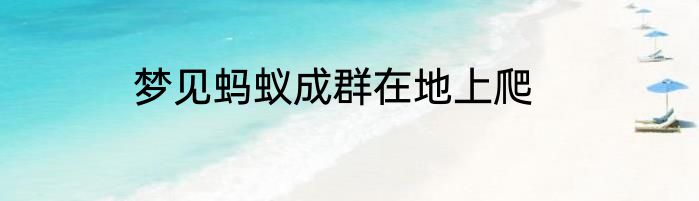 梦见蚂蚁成群在地上爬