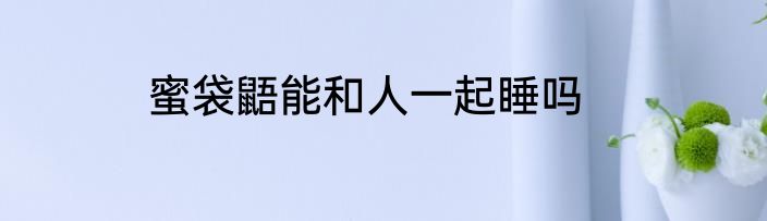 蜜袋鼯能和人一起睡吗
