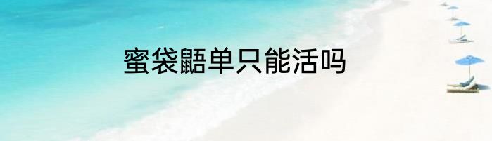 蜜袋鼯单只能活吗