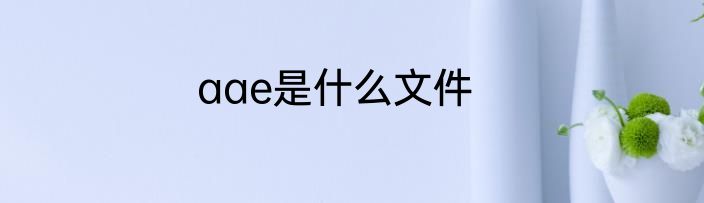 aae是什么文件